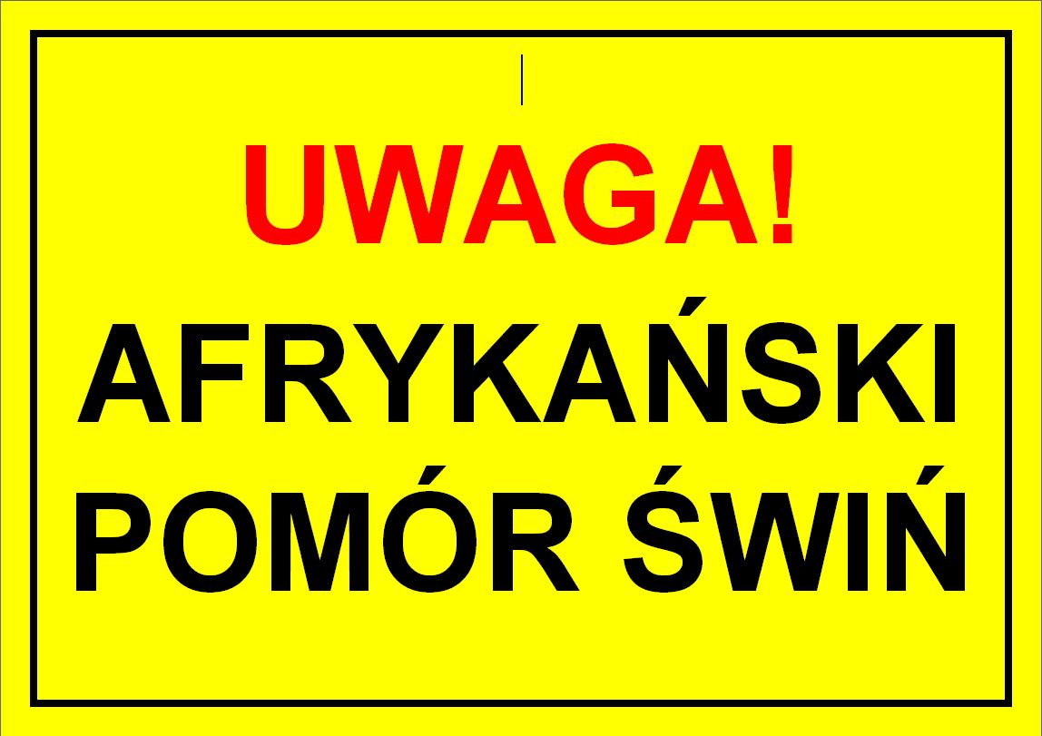 Afrykański Pomór Świń