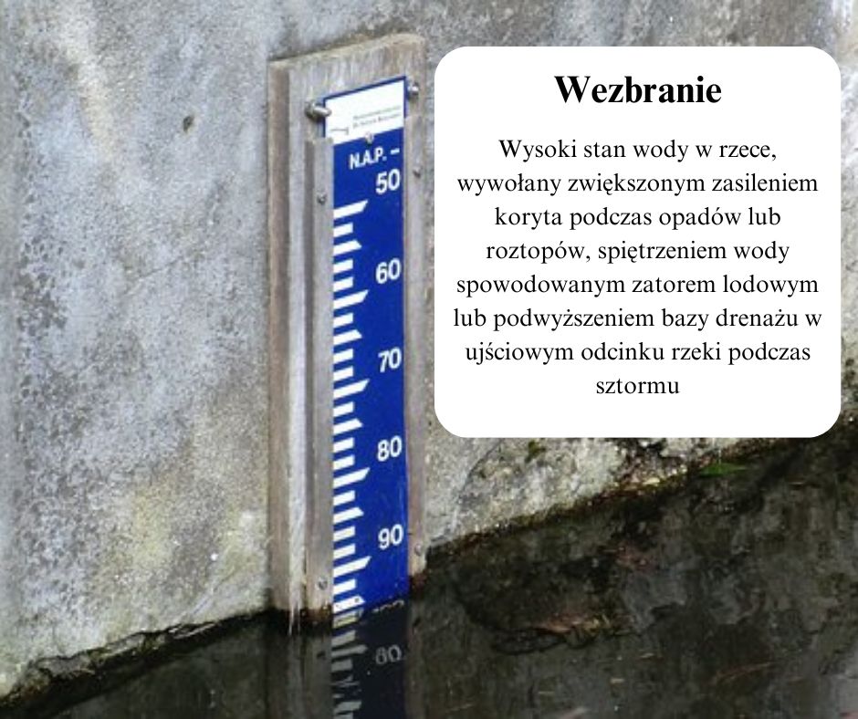 Wezbranie